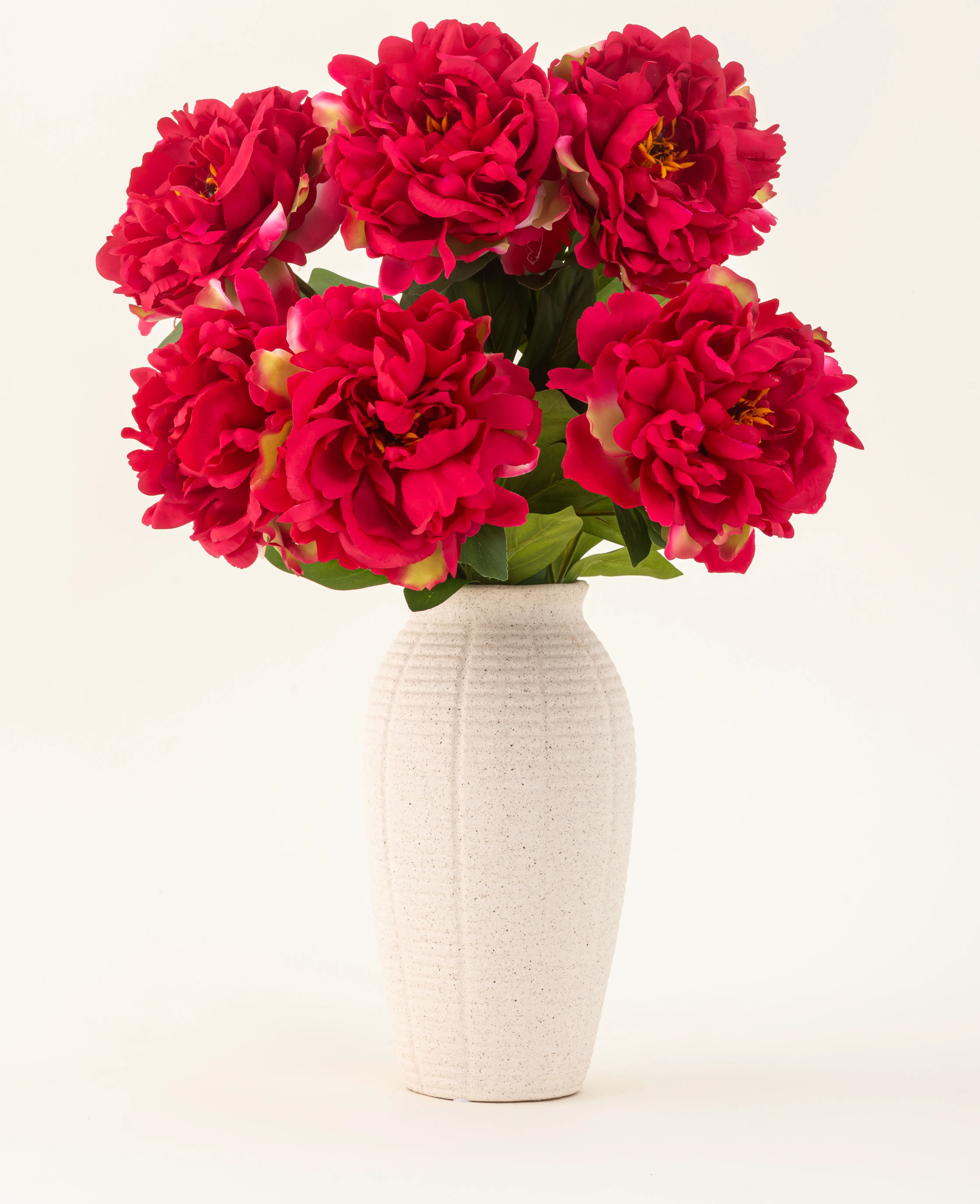 Miniatuur 1